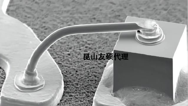 ˾ɨ羵